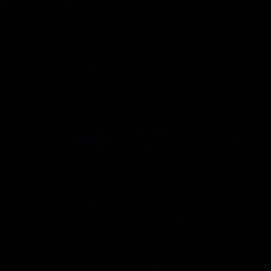 Meet your Posher, Terry